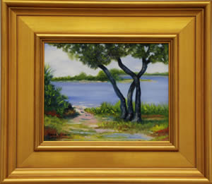 lovelyscene on the Anclote River